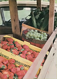 Well organized, accessible displays are a big help when selling produce.